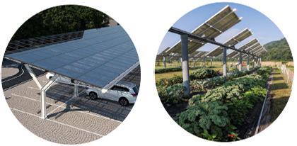 Innovations and Sustainability
